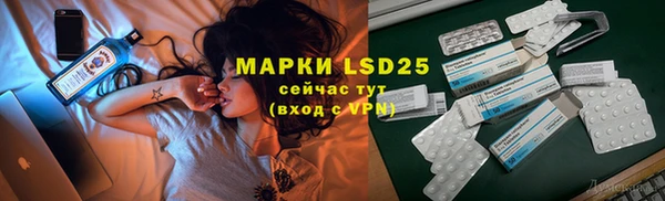 PSILOCYBIN Майский