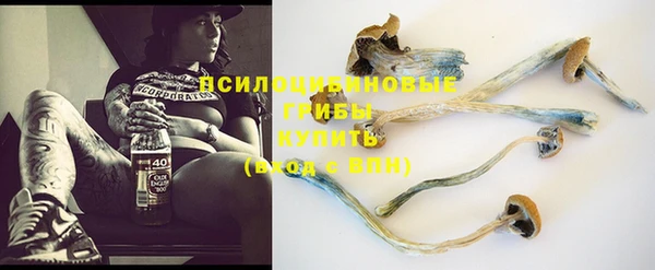 PSILOCYBIN Майский
