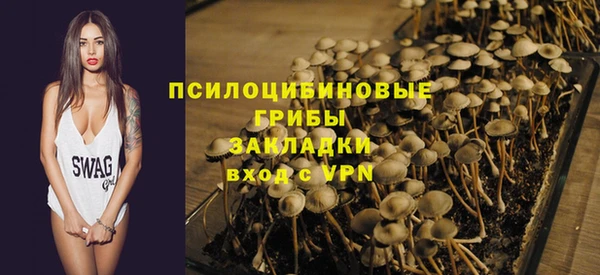 PSILOCYBIN Майский
