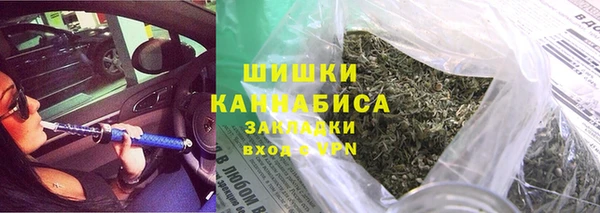 PSILOCYBIN Майский
