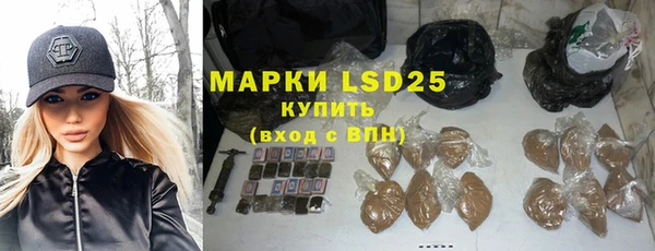 PSILOCYBIN Майский